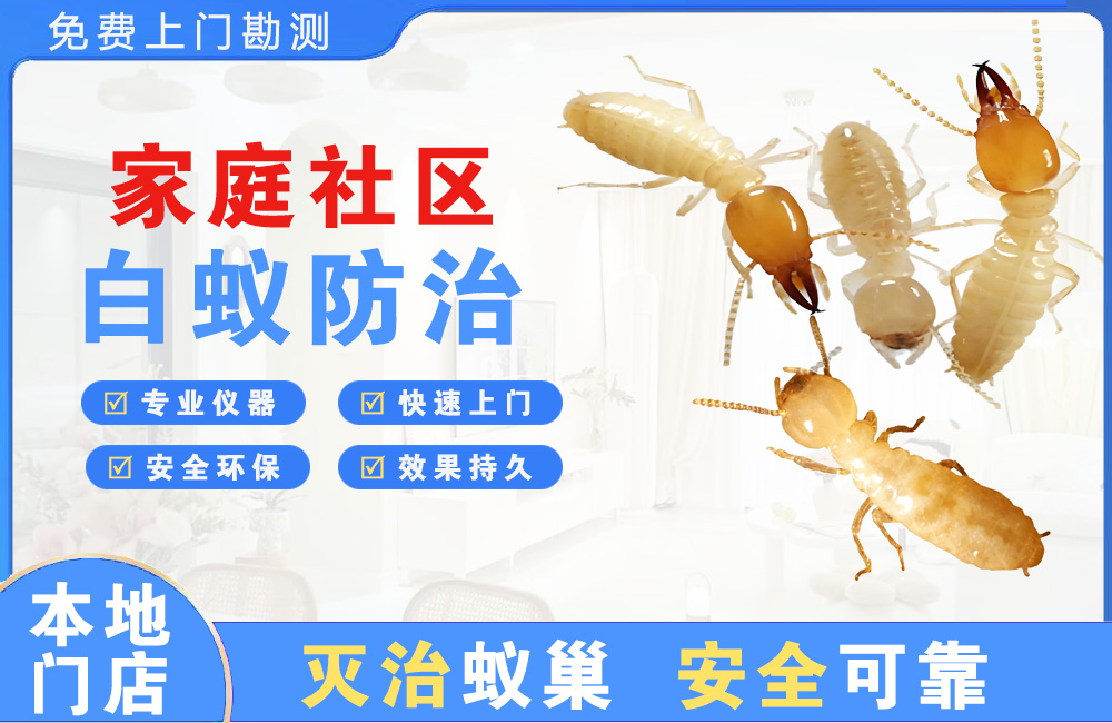 德阳家庭社区白蚁防治