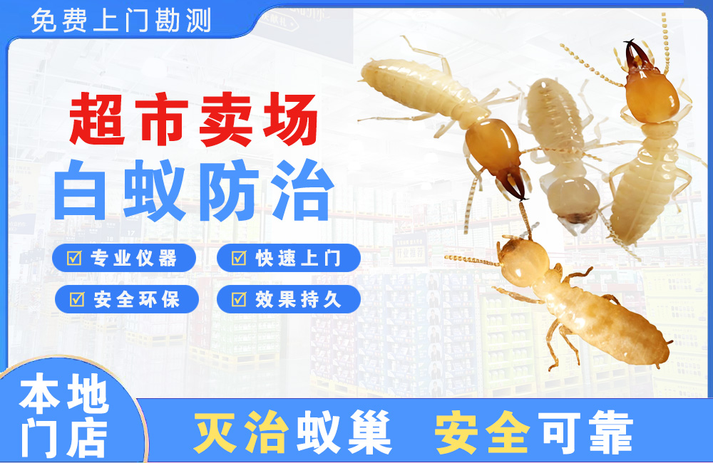 德阳超市卖场白蚁防治