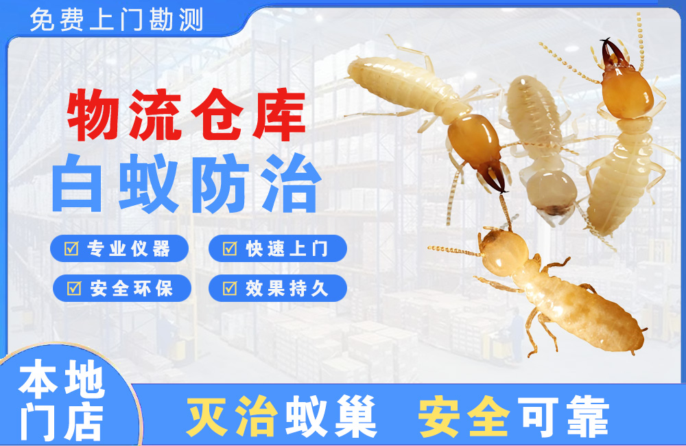 德阳物流仓库白蚁防治