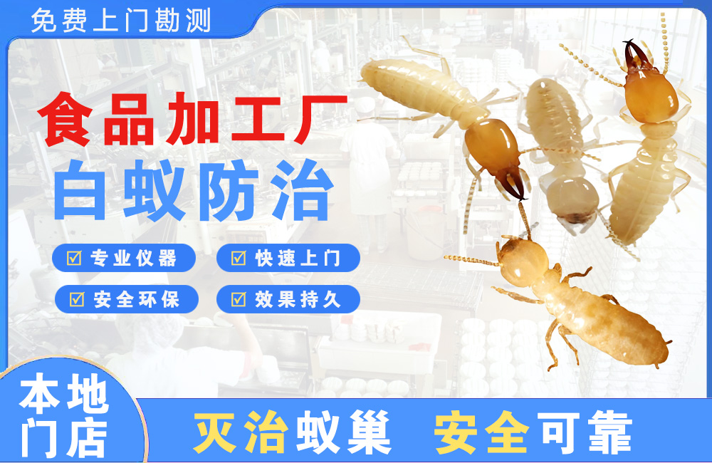 德阳食品加工厂白蚁防治
