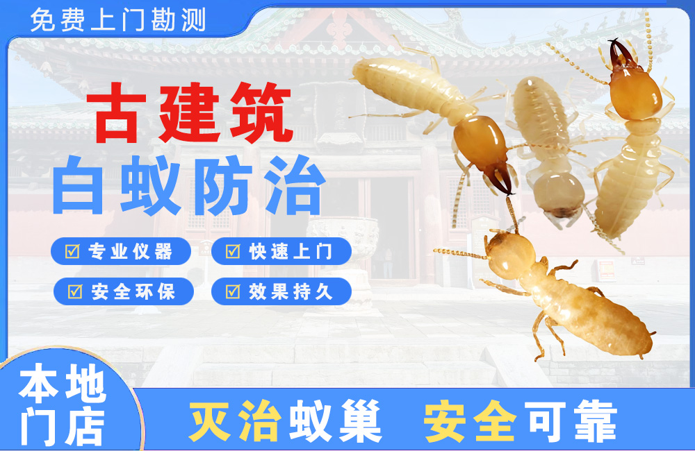 德阳古建筑白蚁防治