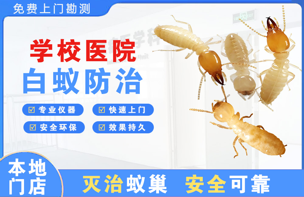 德阳学校医院白蚁防治