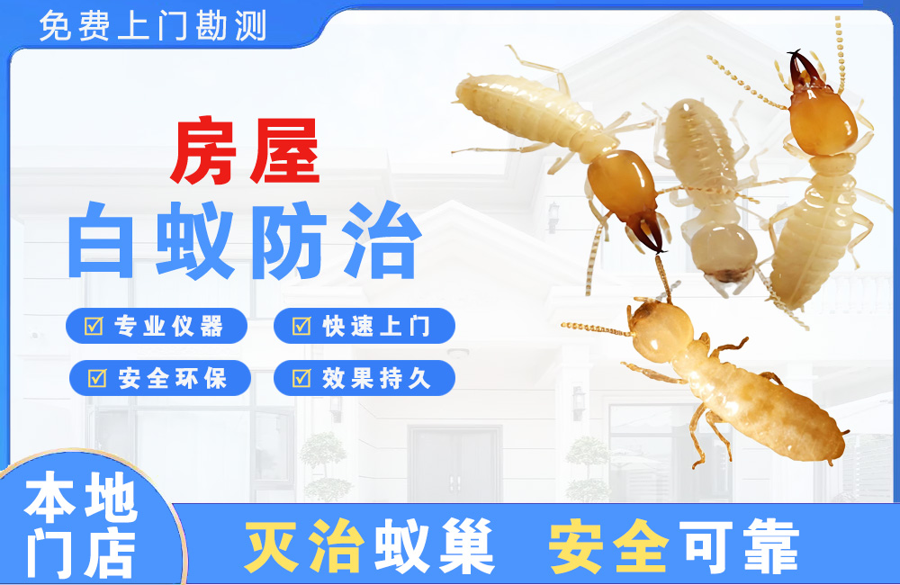 德阳房屋白蚁防治