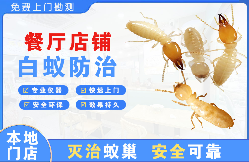 德阳餐厅店铺白蚁防治